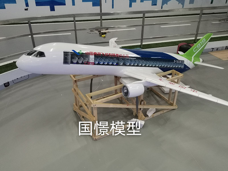 桐城市飞机模型